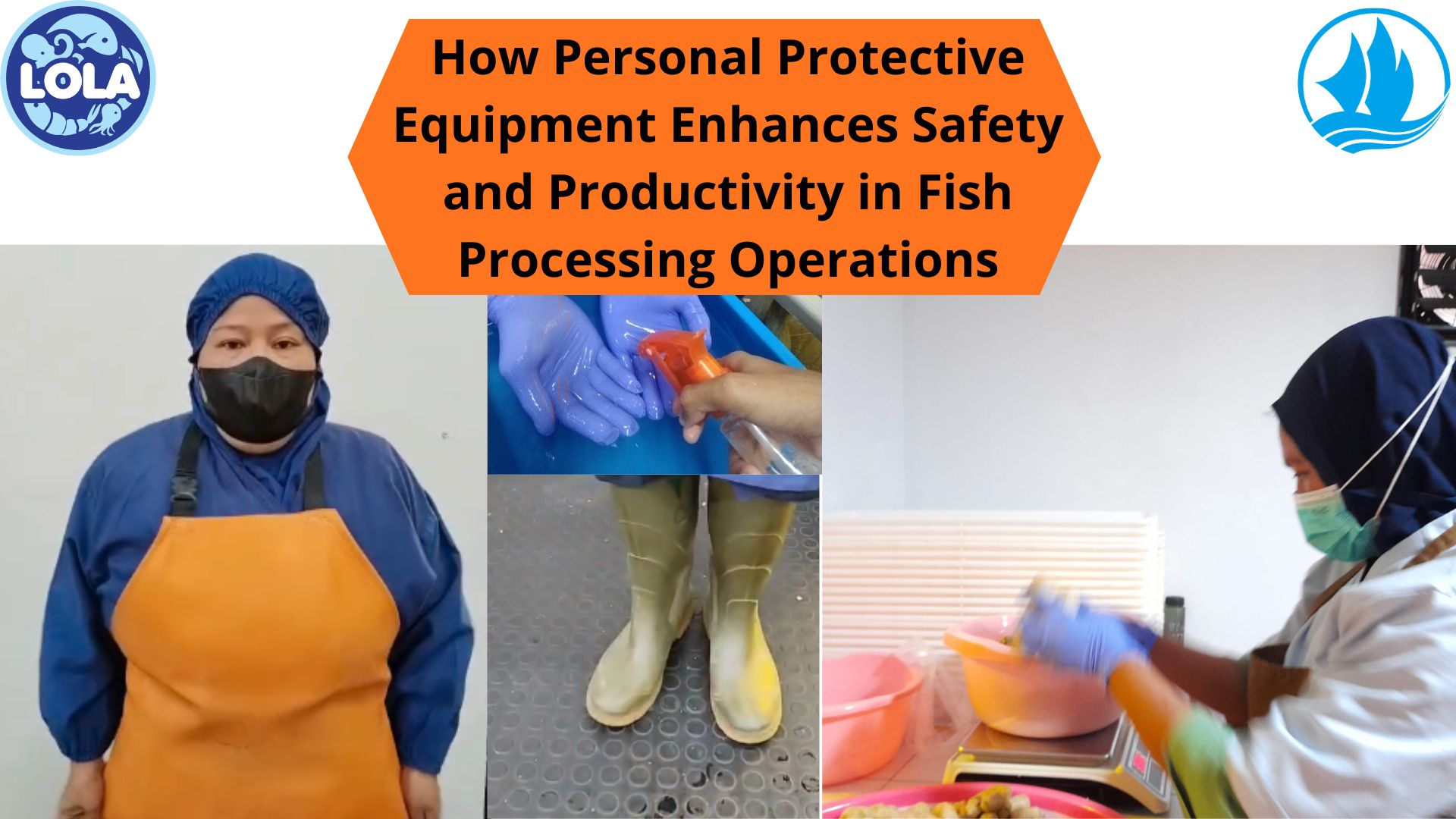 How Personal Protective Equipment Enhances Safety and Productivity in Fish Processing Operations